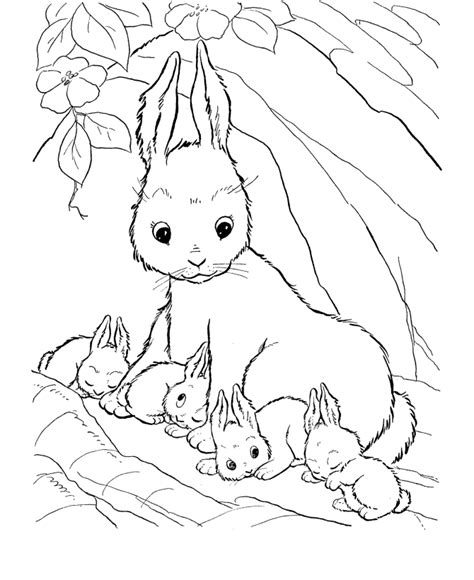 We did not find results for: Farm animal coloring page | Mommy rabbit and her baby ...