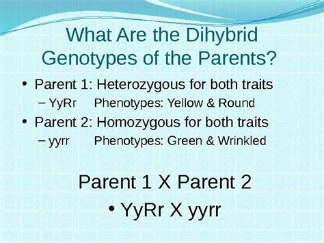 • calculation of the predicted genotypic and phenotypic autosomal genes. Heredity and Genetics Part Two Dihybrid Crosses