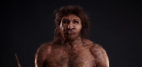 Miguelón - Museo Evolución Humana - Guías Turísticos Burgos