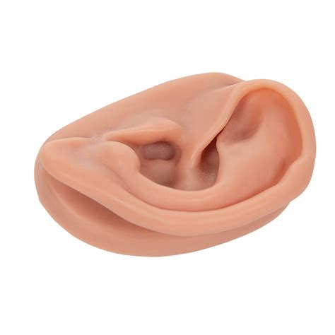 Clinique de l oreille béziers. 3B Acupuncture de l'oreille, gauche - 1000374 - N15/1L ...