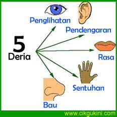 Description lukiskan anggota badan dan tuliskan fungsi deria manusia dengan. Contoh Kertas Soalan Kimia Tingkatan 4 - Soalan bt