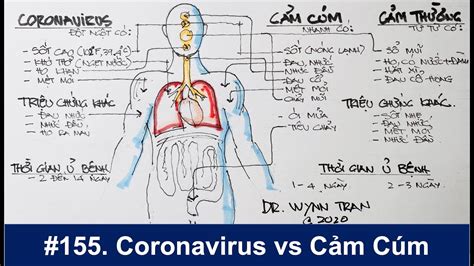 Triệu chứng giống với cúm và cảm lạnh. #155. Phân biệt giữa Coronavirus, cảm cúm, và cảm thường ...