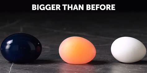 'Egg Bigger Than Before' Video Becomes Viral Meme