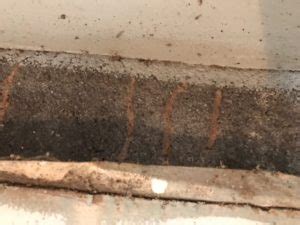 Find out what works well at dodson pest control from the people who know best. Ranger Pest Control