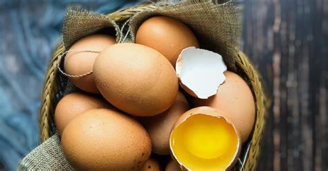 Posisi rukuk yang betul (source). Cara Simpan Telur Yang Betul. Perlu Basuh Atau Tidak ...