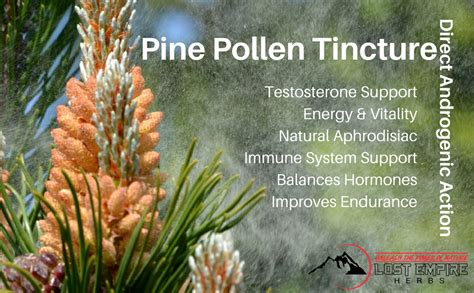 Because it's more concentrated, it's a good option to kickstart your testosterone production. Amazon.com: Organic Pine Pollen Tincture - Broken Cell ...