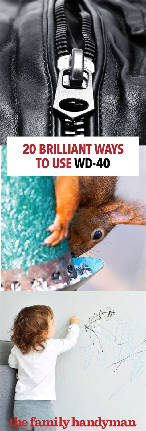 Your best home improvement online store with always low prices! 34 Brilliant Ways to Use WD-40 at Home | Wd 40, Diy home ...