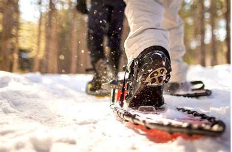 Flat terrain snowshoes are the best snowshoes for beginners. Best Snowshoes for Beginners: Reviews, Top Picks, Top Products