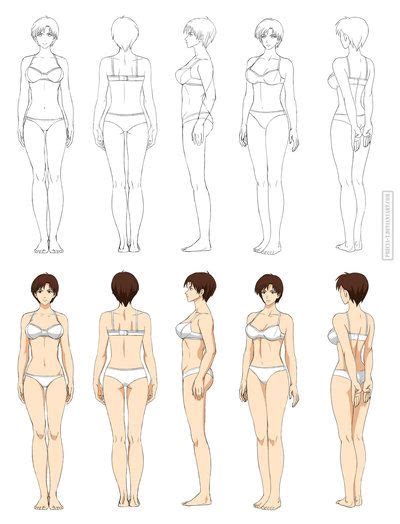 Drawing reference clothing folds and fits | anime amino. Anime anatomy, full body (commission) by Precia-T ...