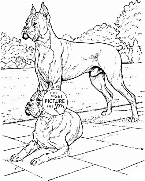 Rare and unusual boxer dog coloring. Boxer Dogs coloring page for kids, animal coloring pages ...