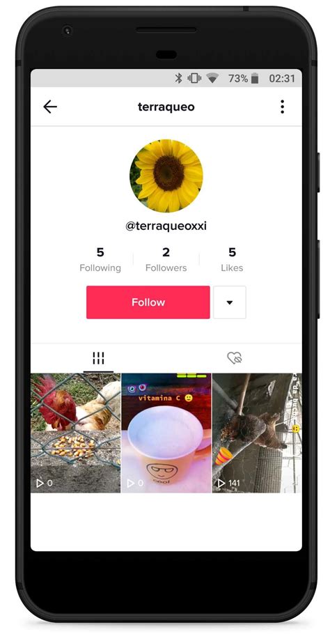 On mac or linux, open a terminal to the tools/ directory in the android sdk, then execute android sdk. TikTok app displaying the public content of an account ...