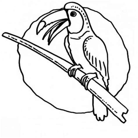 Toco toucan coloring page from toucan category. Kids Drawing Of Toucan Coloring Page : Coloring Sun ...