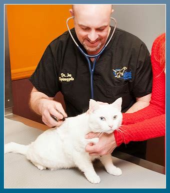 Uptown animal hospital & 24 hour emergency care is dedicated to providing excellent and compassionate pet care to our clients in the gig we partner with you to keep your pets healthy and care for them as if they were our own. Pet Wellness Services at Animal Hospital of Sayreville