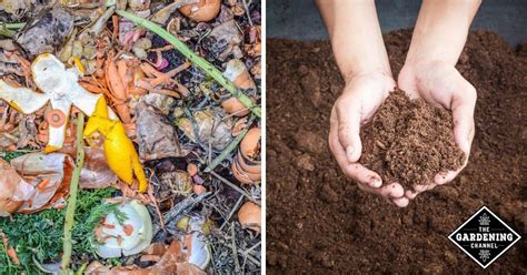 Check spelling or type a new query. Compost vs. Peat Moss: When Do You Use Each One ...