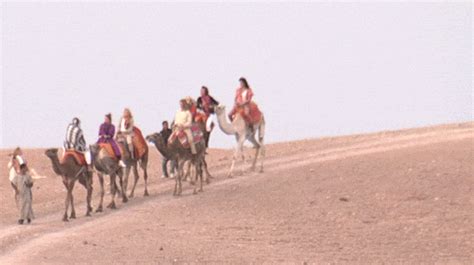 Shall i bring a bottle? Let Us Never Forget This Iconic Housewives Camel Moment ...