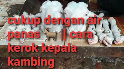 Membuat gulai kambing tidaklah sulit jika mengetahui resepnya. Cara kerok kepala kambing || hanya dengan air panas - YouTube