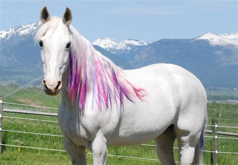 Fall 2021 my little pony sunny starscout in her room image from the movie. Turning a real horse into a "my little pony" | Horse ...