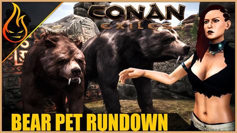 Everything You Need To Know About The Bear Pet Conan ...