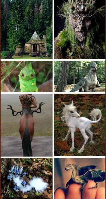 And see if you can answer all the. 17 Best images about Care of Magical Creatures on ...