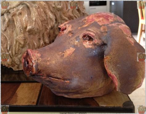 137 vues il y a 8 heures amatrice qui a des rapports sexuels avec son labrador; « Tête de Cochon » « Sculptures de Mélanie OTT - MASSON