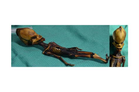 The problem is not size, but so instead of asking is 6 inches enough , you should be asking whatever your girth is enough ,,, if its enough. Atacama "Alien" Update: DNA Details Of Six-Inch Skeleton ...