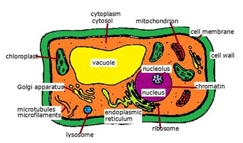 We did not find results for: The Cell - Miss Halligan