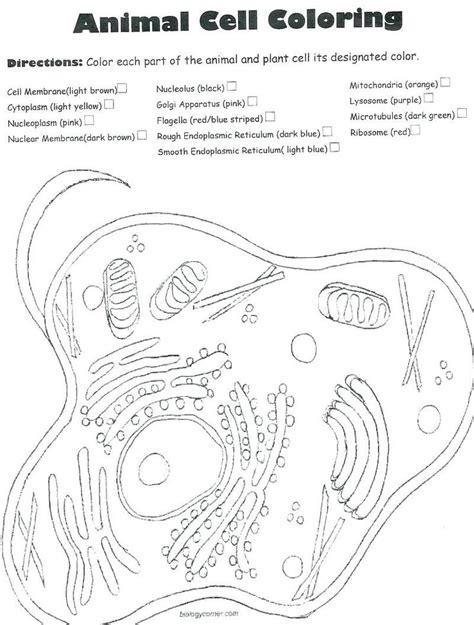 Plant and animal cell coloring worksheets key carriembecker me. Animal Cells Coloring Worksheet Plant and Animal Cell ...