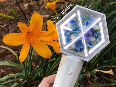 Have a look at some of the beautiful eribongs posted on an online community. exo lightstick ver 3 flower aesthetic | Gambar, Exo