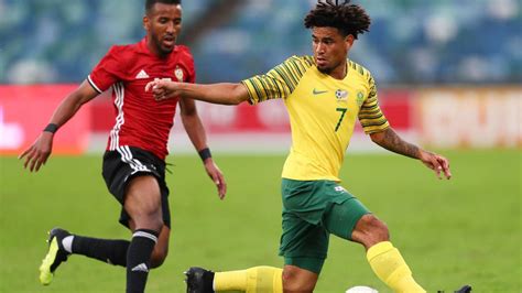 Two lions welcomed into the pride. Keagan Dolly: South Africa star undergoes successful ...