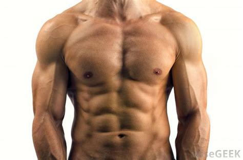 This is an online quiz called torso model muscle anatomy. De 31 bästa male anatomy-bilderna på Pinterest | Anatomi ...