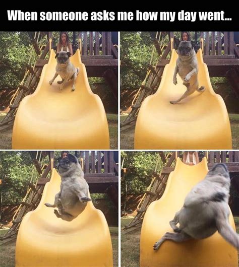 Someone to watch over me. Funny Pictures Of The Day - 46 Pics