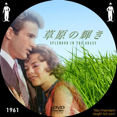 Also, keep an eye out for sandy dennis, making her first movie appearance. 美しき女たち男たち 「草原の輝き」 Splendor in the Grass（1961）