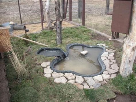 How do i build a pond? Do Ducks Need a Pond? Duck Pond Ideas | Ponds backyard, Backyard ducks, Duck pond