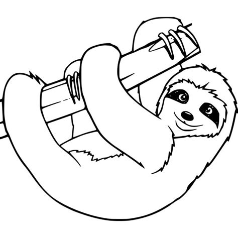 It is widespread in at least 10 south american countries, including costa rica and tell us which of these sloth coloring pages he enjoyed coloring the most. Three Toed Sloth Coloring Pages Printable - XColorings.com