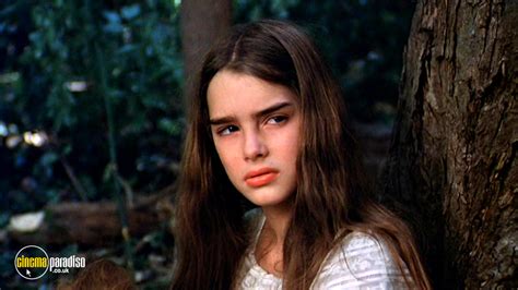 Pretty baby is a 1978 american historical drama film directed by louis malle, and starring brooke shields, keith carradine, and susan sarandon. Rent Pretty Baby (1978) film | CinemaParadiso.co.uk