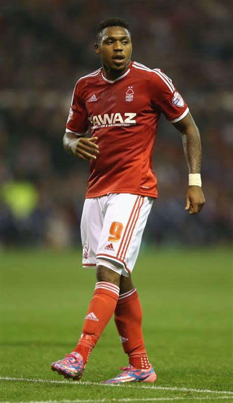 Assombalonga with nottingham forest in 2016. Nottingham Forest vs Newcastle: Three key men to watch ...