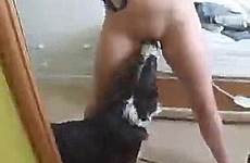 dog pussy licks shaved femefun naked xxx curious