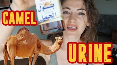 Some experts cite properties that they say may help fight a number of diseases, including diabetes, cancer, shingles and autism. what I did with Camel URINE... the miracle cure ! - YouTube