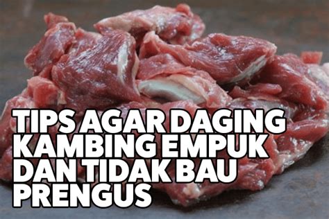 Cara membuat sate kambing panggang: bau prengus daging kambing - Keepburger