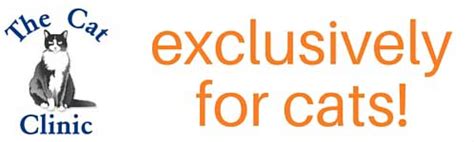 Services include preventive care and complete i just want to say how amazing the cat clinic is!!! Before you come in - The Cat Clinic