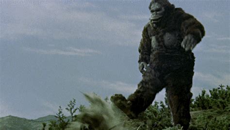 Kong is earth's 'salvation' against godzilla in adam legends collide as godzilla and kong, the two most powerful forces of nature, clash on the big moving the movie from march 2020 to the summer or holiday seasons may also be a mistake. futebol gif | Tumblr