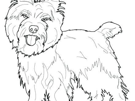 Push pack to pdf button and download pdf. Yorkie Coloring Pages at GetColorings.com | Free printable ...