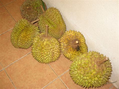 Cara membuat nasi goreng sangatlah praktis dan bisa divariasikan dalam berbagai cara. Bunga-bunga Cinta...: Nasi Durian