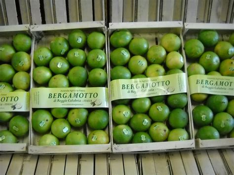 Azienda agricola patea is a farm located in brancaleone, on the ionian coast of the province of reggio calabria, famous for the cultivation of bergamot. Azienda agricola Patea Bergamotto
