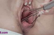 pussy insertion insertions huge penis bizarre gif tumblr nipple bedpost masturbation anal vaginal sex whisk female breast real nipples extreme