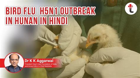 Start your family tree now. Bird flu h5n1 outbreak in Hunan (China) in hindi || H5N1 Bird Flu Virus : Outbreak in China ...