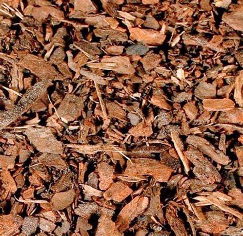 Tree care services make wood chip mulch from the trees they have pruned, chopped down, or removed. Wood chips - free - delivered for Sale in Federal Way, WA ...