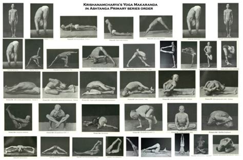 Hatha yoga refers to the practice of physical asanas or yoga postures… Die richtige Asana-Reihenfolge oder was ist Krama Yoga ...