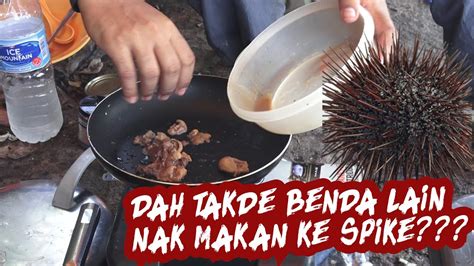 Binatang ini terbagi menjadi sekitar 950 spesies dan dapat ditemukan mulai dari daerah pasang surut sampai di kedalaman 5.000 meter. Makan landak laut sea urchin! (fishing, camping, catch and ...