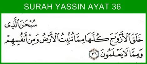 Maha suci tuhan yang menguasai setiap sesuatu dan kepadanyalah kembali. Sharing Is Caring: Surah Yasin Ayat 36 : Doa Pengasih